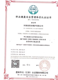 職業健康安*管理體係認證證書