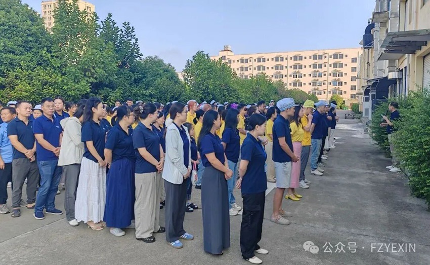 1767768924340381.jpg 1.jpg