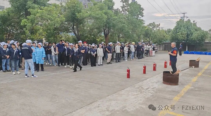 1767772824107958.jpg 1.jpg