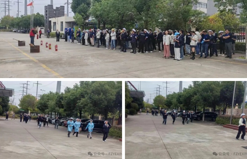 1767772829875653.jpg 2.jpg